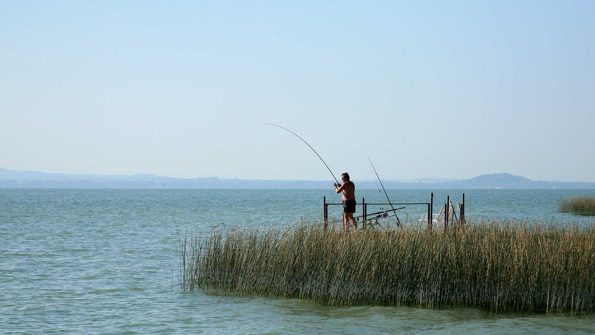 Népszerű sport a horgászat is. A Balaton horgászvíz lett