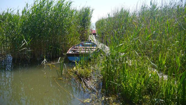 Badacsonyban, vízparti nyaraló saját stéggel eladó Badacsonyban, vízparti nyaraló saját stéggel eladó